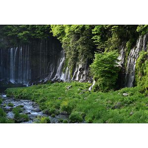 nikon-z-70-180mm-f28-telefoto-objektiv-jma721da-82537-4960759911087_111980.jpg