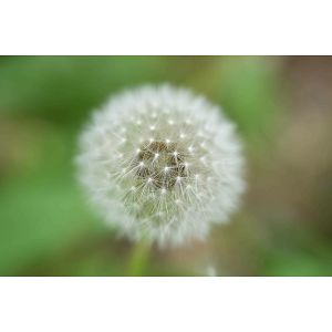 nikon-z-70-180mm-f28-telefoto-objektiv-jma721da-98025-4960759911087_111981.jpg