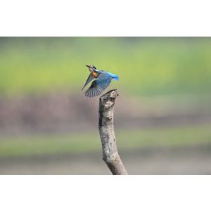 nikon-z6-iii-z-24-70mm-f4-s-38723-4960759916259.jpg