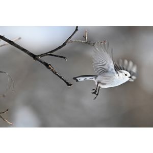 nikon-z6-iii-z-24-70mm-f4-s-87461-4960759916259.jpg