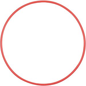 Olympus POL-EP13 O-Ring for PT-EP13 Underwater Accessory V6370550W000