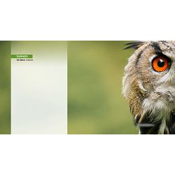 panasonic-100-300mm-f-4-56-ii-power-ois--5025232862726_8.jpg