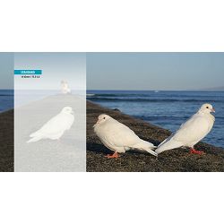 panasonic-14-42mm-f-35-56-ii-asph-mega-o-5025232829101_12.jpg