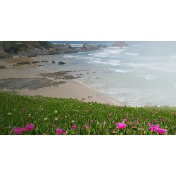 panasonic-lumix-g7-14-42mm-f-35-56-asph--5025232826513_15.jpg