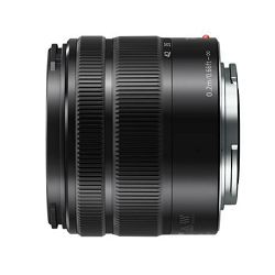 panasonic-lumix-gx80-14-42mm-f-35-56-asp-5025232868766_9.jpg