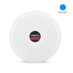 Peragos Disk 304P Power Daylight LED light