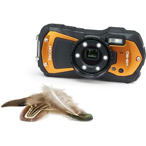 ricoh-wg-80-orange-94435-4549212304378_111555.jpg