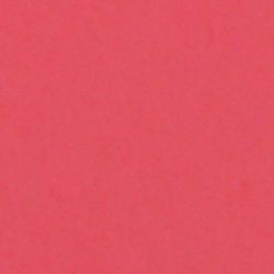 Savage papirnata kartonska pozadina 1,36x11m Flamingo #91 papir karton 1.36x11m Widetone Seamless Background Paper