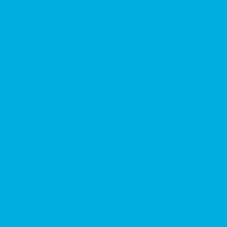 savage-plava-blue-jay-pozadina-136x11m-03015439_1.jpg