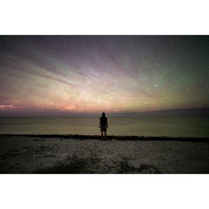 sigma-14mm-f14-dg-dn-art-za-pansonic-l-mount-11650-0085126451691_108946.jpg
