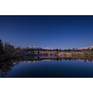 sigma-14mm-f14-dg-dn-art-za-sony-e-mount--47855-0085126451653_108929.jpg