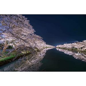 sigma-14mm-f14-dg-dn-art-za-sony-e-mount--50299-0085126451653_108930.jpg