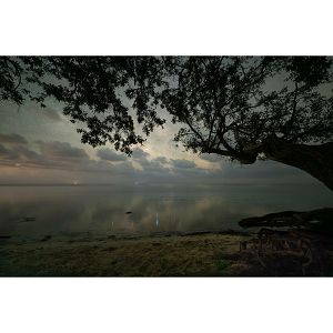 sigma-14mm-f14-dg-dn-art-za-sony-e-mount--64210-0085126451653_108933.jpg