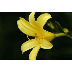 sigma-150-600mm-f-5-63-dg-dn-sport-objek-0085126747695_13.jpg