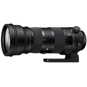Sigma 150-600mm f/5-6.3 DG OS HSM Sport telefoto objektiv za Canon EF zoom lens 150-600 F5-6.3 150-600/5,0-6,3 (740954)