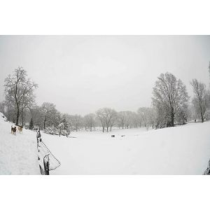 sigma-15mm-f14-dg-dn-diagonal-fisheye-za-sony-e-mount-59011-085126478650_110854.jpg