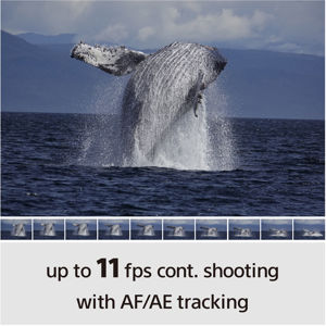 sony-alpha-a6100-a-16-50-f35-56-oss-ii-kit-black-51291-4548736166349.jpg
