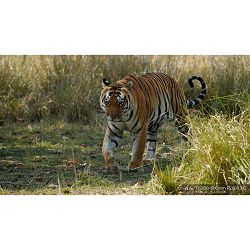 sony-fe-200-600mm-f-56-63-g-oss-telefoto-4548736099739_11.jpg