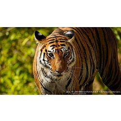 sony-fe-200-600mm-f-56-63-g-oss-telefoto-4548736099739_8.jpg