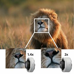 sony-fe-600mm-f-4-gm-oss-telefoto-objekt-4548736099678_11.jpg