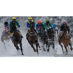 sony-fe-600mm-f-4-gm-oss-telefoto-objekt-4548736099678_15.jpg