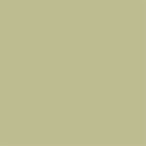 Superior papirnata kartonska pozadina 1,35 x 11m 13 Tropical Green Background Paper Roll studijska foto pozadina u roli
