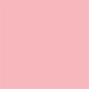 Superior papirnata kartonska pozadina 1,35 x 11m 17 Carnation Pink Background Paper Roll studijska foto pozadina u roli