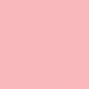 Superior papirnata kartonska pozadina 2,72 x 11m 17 Carnation Pink Background Paper Roll studijska foto pozadina u roli
