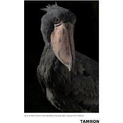 tamron-70-180mm-f-28-di-iii-vxd-allround-4960371006680_14.jpg