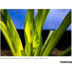 tamron-af-28-200mm-f-28-56-di-iii-rxd-al-4960371006703_10.jpg