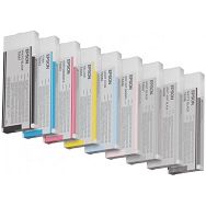 Tinta StPRO4880LightLightBlack