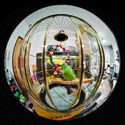venus-optics-laowa-4mm-f-28-fisheye-obje-6940486701180_10.jpg