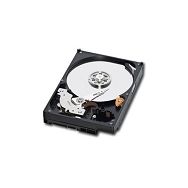WESTERN DIGITAL HDD Desktop AV-GP (3.5",500GB,32MB,SATA II-300)