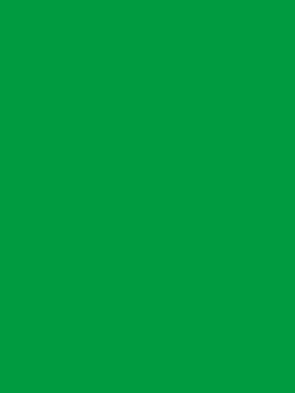 Bresser studijska pozadina od tkanine zelena Y-9 Chromakey Green Background Cloth 3x6m