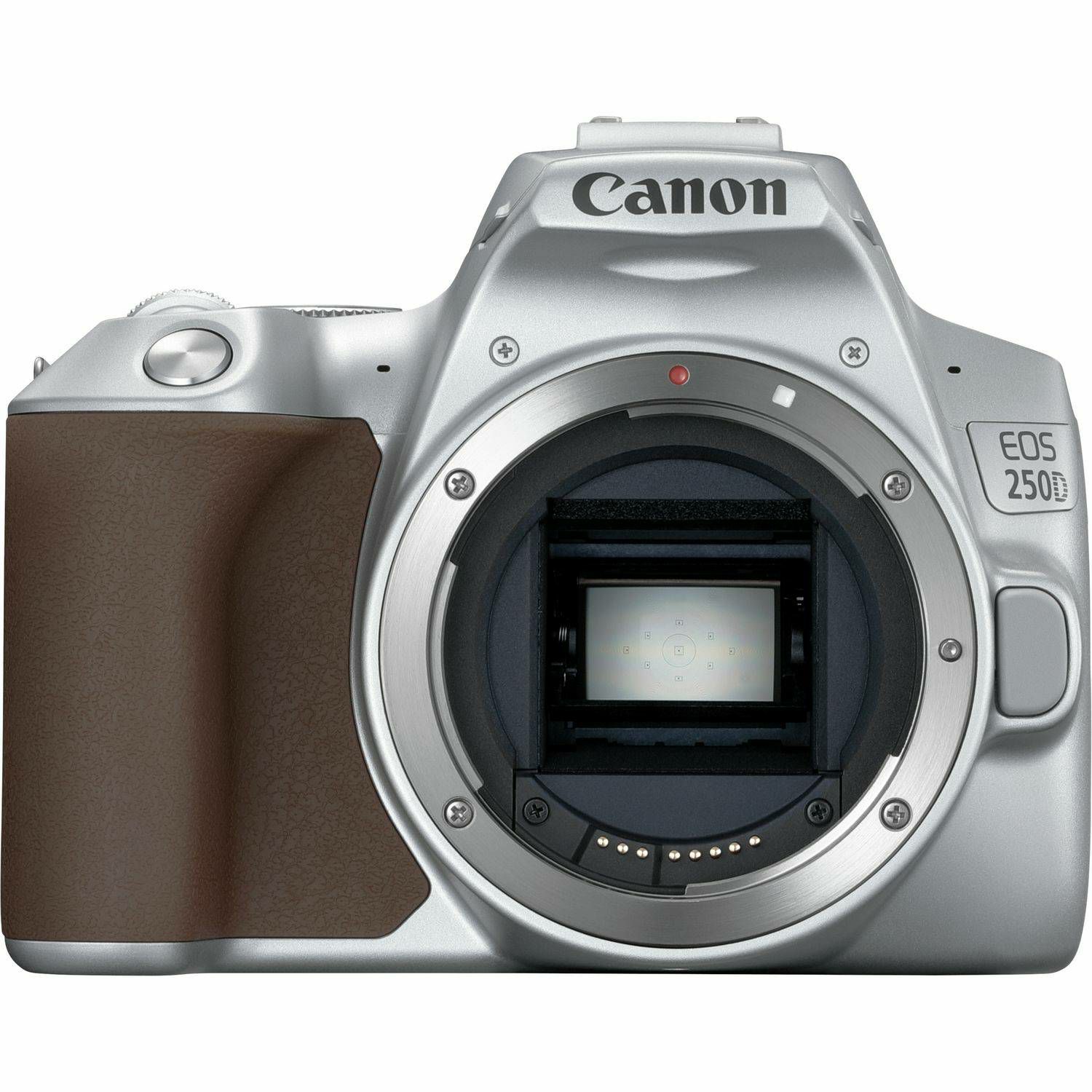 Canon EOS 250D + 18-55 IS STM Silver DSLR Digitalni fotoaparat s objektivom EF-S 18-55mm f/4-5.6 (3461C003AA) - CASH BACK