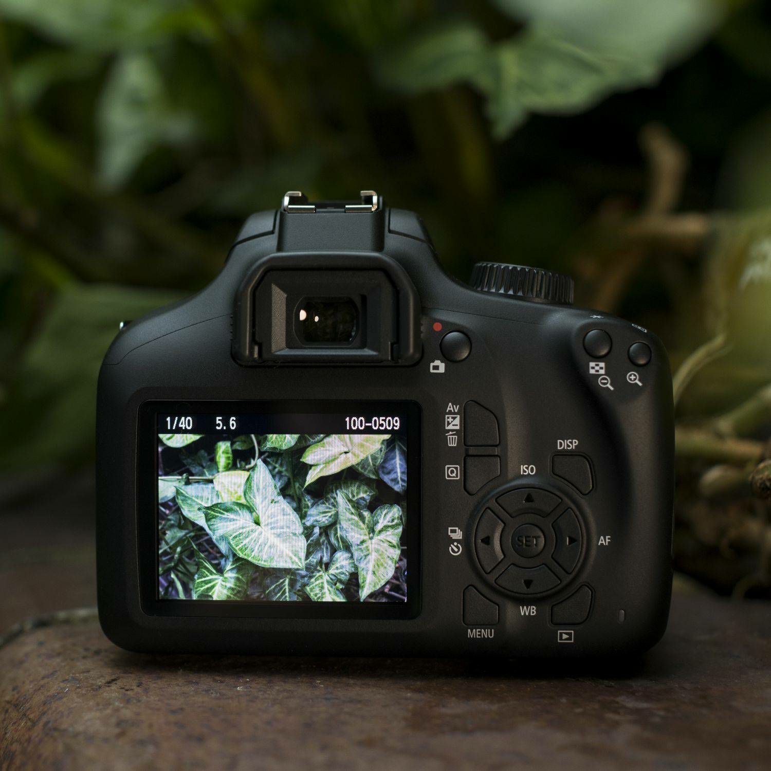 Canon EOS 4000D Body Black DSLR Digitalni fotoaparat tijelo (3011C016AA)