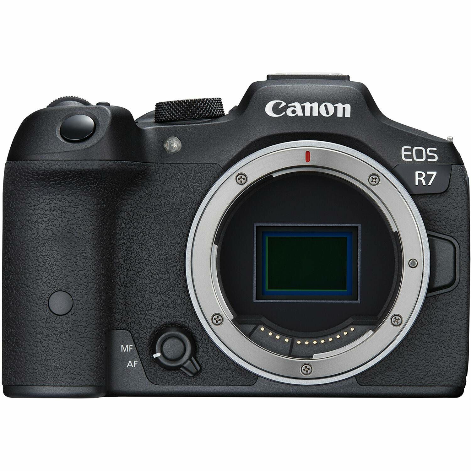 Canon EOS R7 + RF 100-400mm f/5.6-8 IS USM