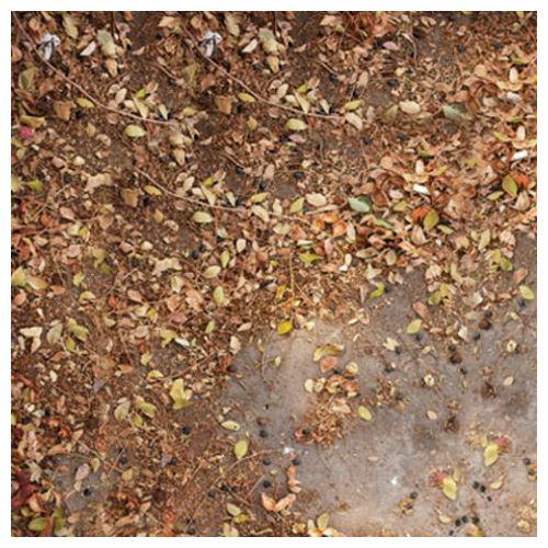 Click Props Background Vinyl with Print Autumn Leaves 1,52x1,52m studijska foto pozadina s grafikom