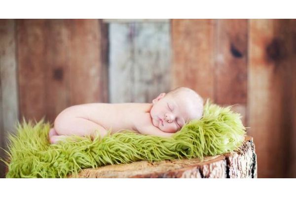 Click Props Newborn for Nest Off White Lamb SLF foto pribor za fotografiju beba
