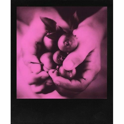 Impossible 600 Duochrome Black Pink foto papir film za Polaroid 600 (4649)