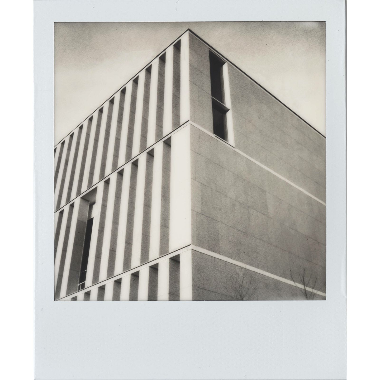 Impossible Black & White 2.0 Instant Film for Polaroid 600 Cameras (White Frame, 8 Exposures) 600 B/W Gen 2.0 (3834)