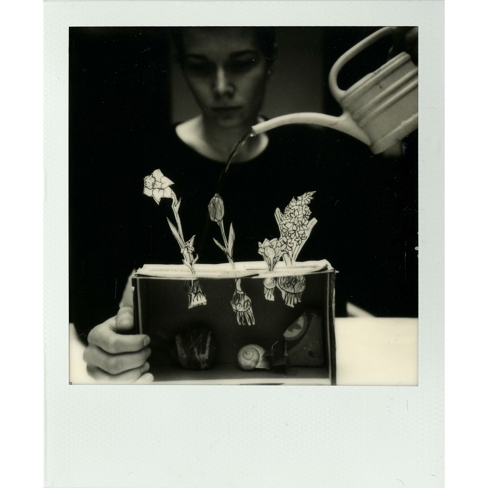 Impossible Black & White 2.0 Instant Film for Polaroid SX-70 Cameras (White Frame, 8 Exposures) SX 70 B/W Gen 2.0 (4069)