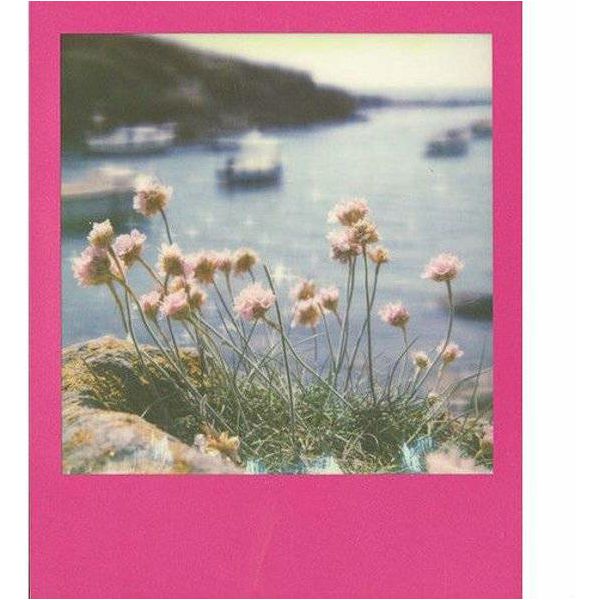 Impossible Color Film for 600 Hot Pink Frame foto papir film za Polaroid 600 (4650)