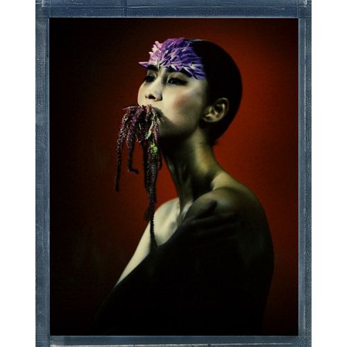 Impossible Color Instant Film (8 x 10", 10 Exposures) 8x10 Color  (2943)