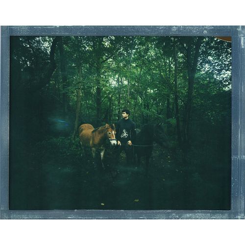 Impossible Color Instant Film (8 x 10", 10 Exposures) 8x10 Color  (2943)