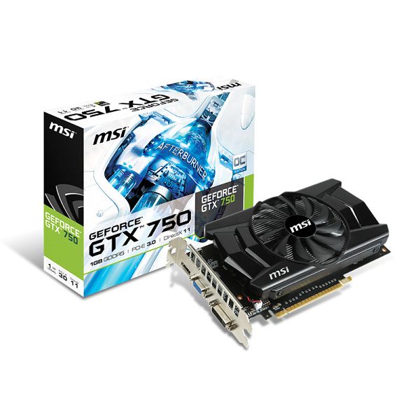 MSI GF N750-1GD5, 1GB GDDR5, HDMI, DVI, DX11