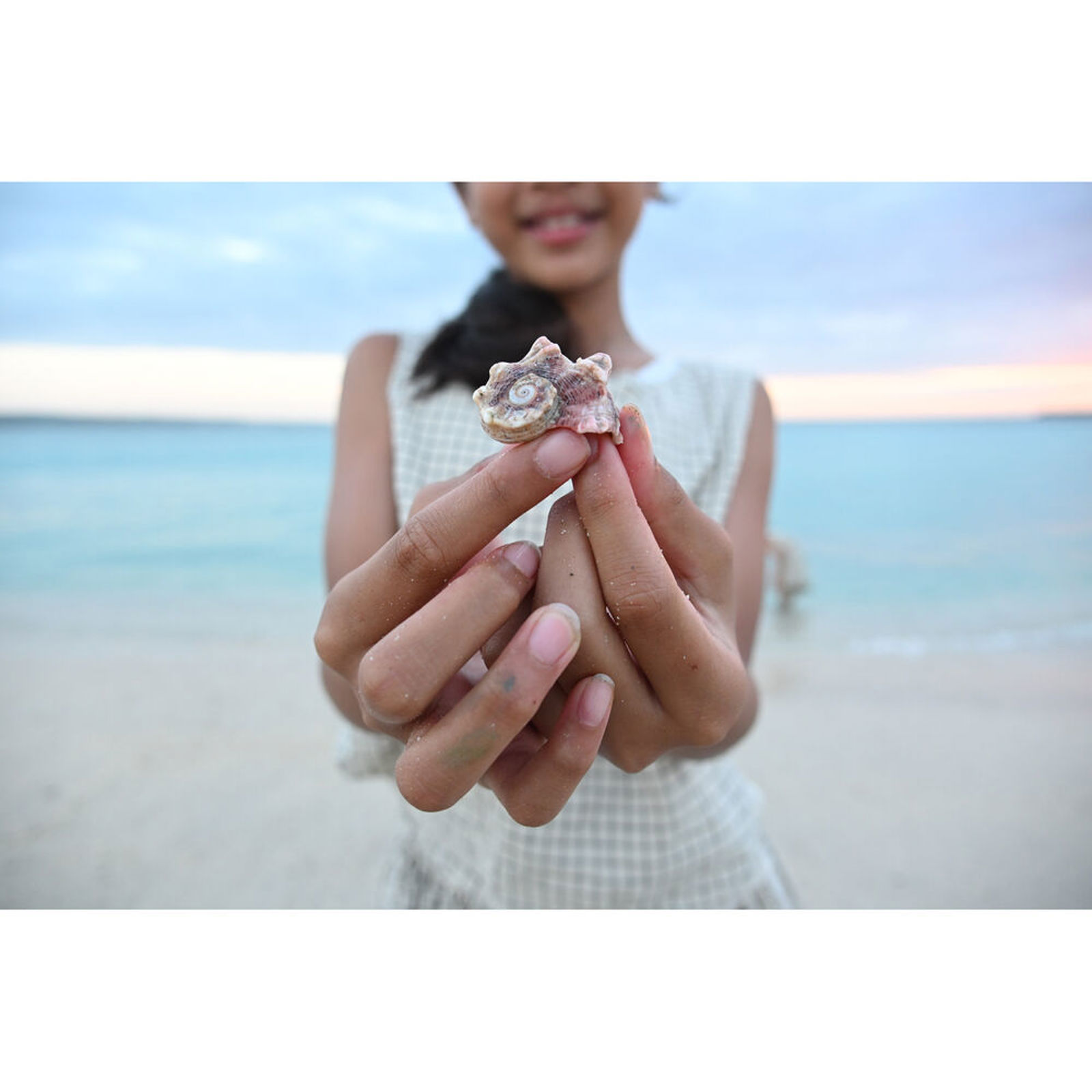 Nikon Z 16-50mm f/2.8 VR DX (JMA725DA)