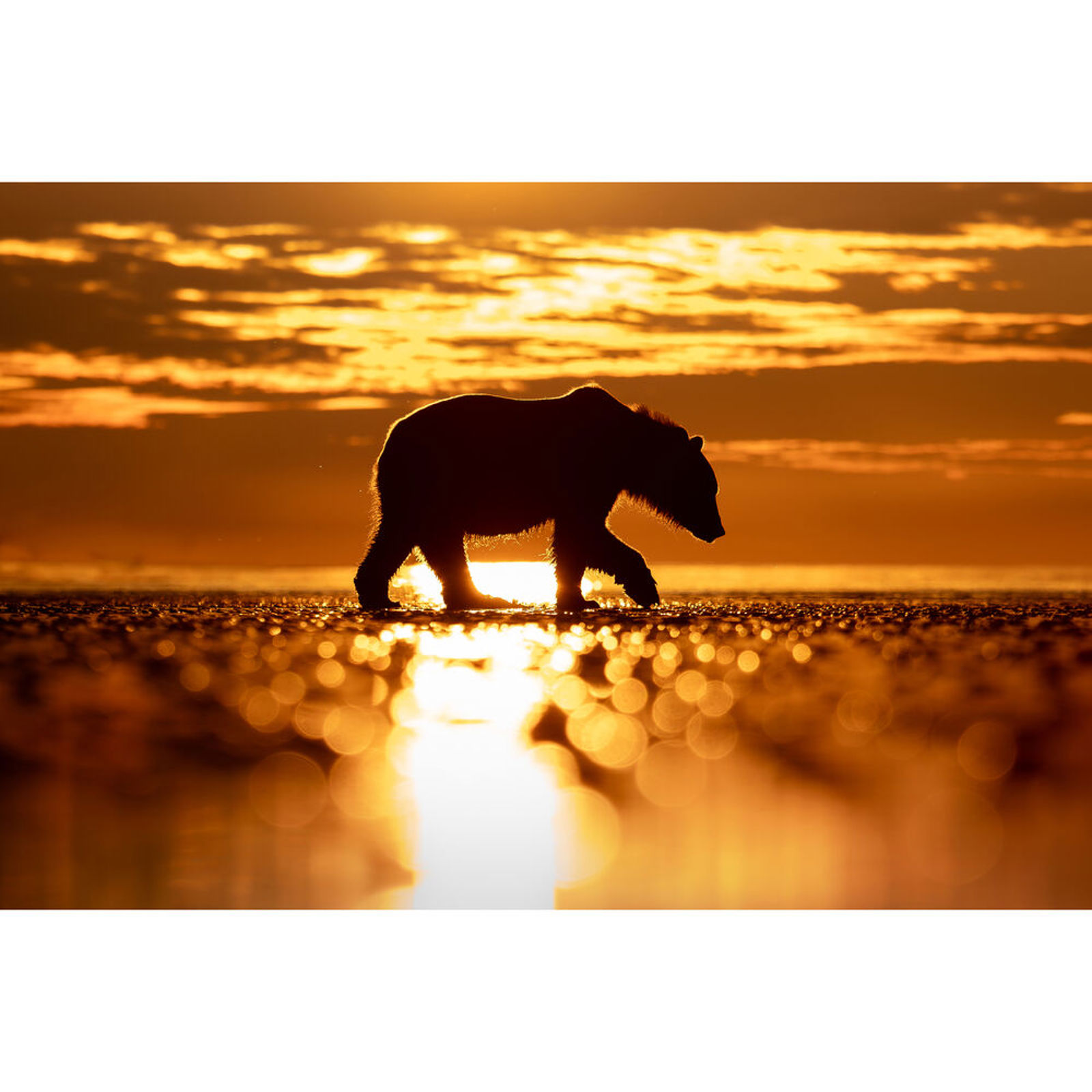 OM System M.Zuiko Digital ED 50-200mm f/2.8 IS PRO