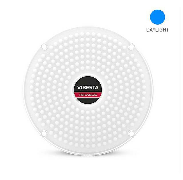 Peragos Disk 304P Power Daylight LED light