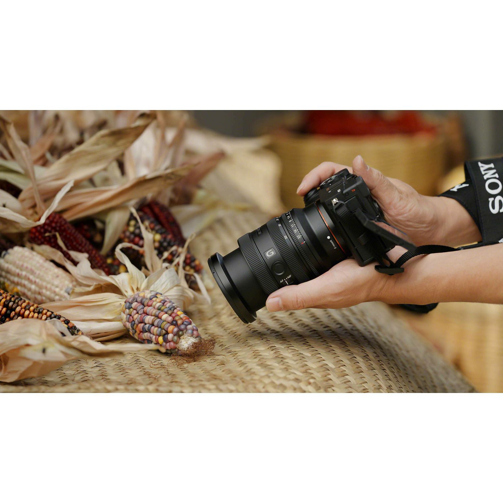 Sony FE 24-50mm f/2.8 G standardni objektiv za E-Mount